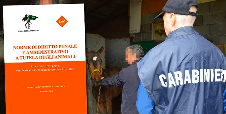 Arriva la guida sui diritti degli animali